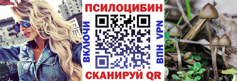 Псилоцибиновые грибы мухоморы  kraken сайт  Онега  дарнет шоп 